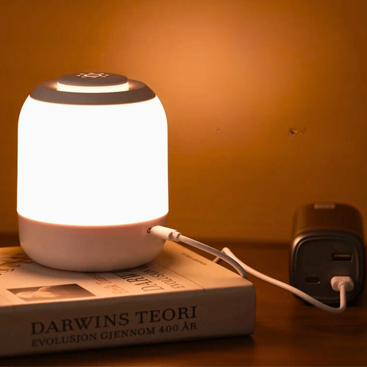 Lampe de Chevet Moderne Touch Sensor